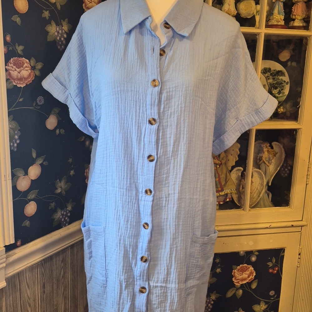Casual Light Blue Button Down Dress